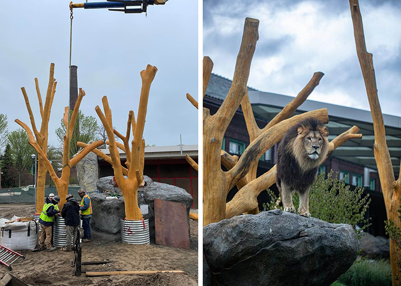 Pepper Family Wildlife Center at Lincoln Park Zoo