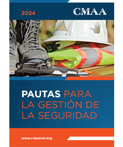 Pautas Para la Gestión de la Seguridad (eBook)