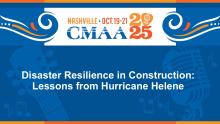 Disaster Resilience in Construction